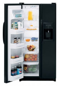 Fridge General Electric GSE20IESFBB Photo review
