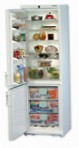 лучшая Liebherr KGTes 4036 Холодильник обзор