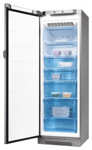 Refrigerator Electrolux EUF 29405 X larawan pagsusuri