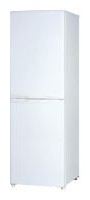 Холодильник Daewoo Electronics RFB-250 WA Фото обзор