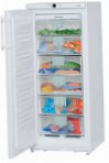 лучшая Liebherr GN 2156 Холодильник обзор