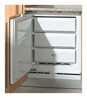 Refrigerator Fagor CIV-22 larawan pagsusuri