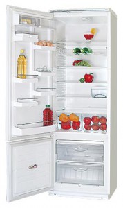 Kühlschrank ATLANT ХМ 5011-016 Foto Rezension