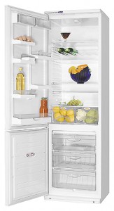 Refrigerator ATLANT ХМ 6024-081 larawan pagsusuri