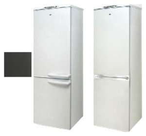 Refrigerator Exqvisit 291-1-810,831 larawan pagsusuri