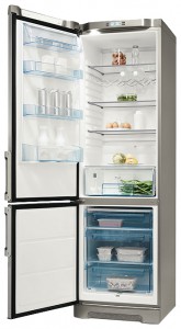 Refrigerator Electrolux ERB 39310 X larawan pagsusuri