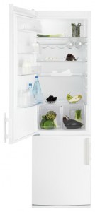 Refrigerator Electrolux EN 14000 AW larawan pagsusuri