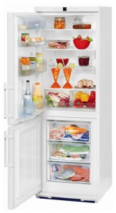 Kühlschrank Liebherr CP 3503 Foto Rezension