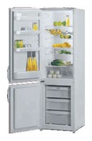 Buzdolabı Gorenje RK 4295 W fotoğraf gözden geçirmek