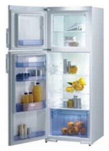 Kühlschrank Gorenje RF 61301 W Foto Rezension