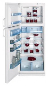 Kjøleskap Indesit TAN 5 FNF S Bilde anmeldelse