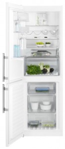 Холодильник Electrolux EN 3454 NOW Фото обзор