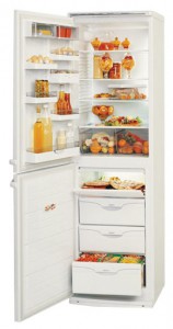 Refrigerator ATLANT МХМ 1805-02 larawan pagsusuri