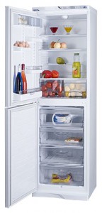 Refrigerator ATLANT МХМ 1848-21 larawan pagsusuri