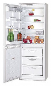Refrigerator ATLANT МХМ 1809-14 larawan pagsusuri