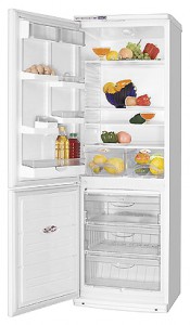 Refrigerator ATLANT ХМ 6019-037 larawan pagsusuri