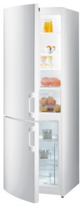 Refrigerator Gorenje RK 61811 W larawan pagsusuri