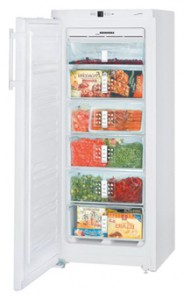 Холодильник Liebherr GN 2313 Фото обзор