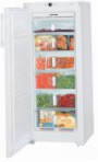 лучшая Liebherr GN 2313 Холодильник обзор