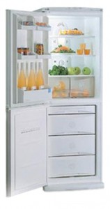 Kühlschrank LG GR-389 STQ Foto Rezension