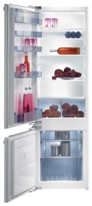 Kjøleskap Gorenje RKI 51295 Bilde anmeldelse
