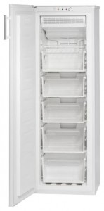 Kjøleskap Bomann GS174 Bilde anmeldelse