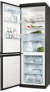 Refrigerator Electrolux ERB 36033 X larawan pagsusuri