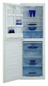 Refrigerator BEKO CHE 31000 larawan pagsusuri