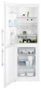 Холодильник Electrolux EN 3201 MOW Фото обзор