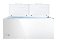 Refrigerator Hisense FC-66DD4SA larawan pagsusuri