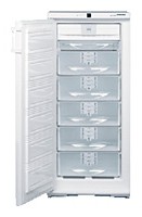 Refrigerator Liebherr GSN 2423 larawan pagsusuri