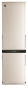 Kühlschrank Sharp SJ-WP371TBE Foto Rezension