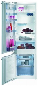 Refrigerator Gorenje RKI 55295 larawan pagsusuri