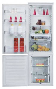 Холодильник Candy CFBC 3180/1 E Фото обзор