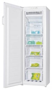 Холодильник LGEN TM-169 FNFW Фото обзор