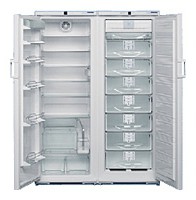 Refrigerator Liebherr SBS 74S2 larawan pagsusuri