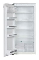 Buzdolabı Kuppersbusch IKE 248-6 fotoğraf gözden geçirmek