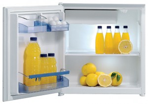 Kühlschrank Gorenje RBI 4098 W Foto Rezension