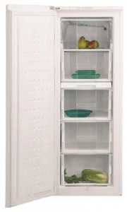 Kjøleskap BEKO FSE 21920 Bilde anmeldelse