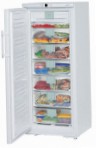 найкраща Liebherr GNP 2976 Холодильник огляд