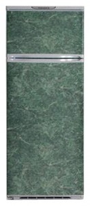 Refrigerator Exqvisit 233-1-C9/1 larawan pagsusuri