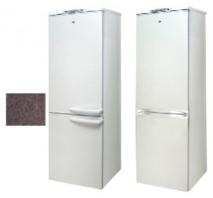 Холодильник Exqvisit 291-1-C11/1 Фото обзор