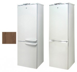 Refrigerator Exqvisit 291-1-C6/1 larawan pagsusuri