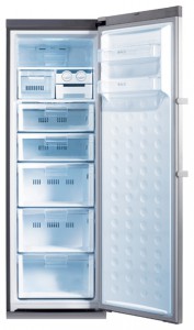 Kühlschrank Samsung RZ-90 EESL Foto Rezension