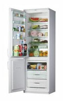 Refrigerator Snaige RF310-1501A larawan pagsusuri