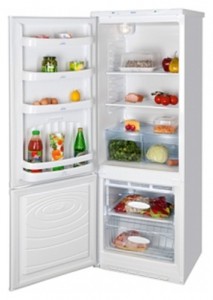 Refrigerator NORD 229-7-010 larawan pagsusuri