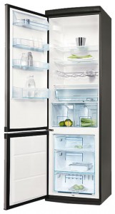 Refrigerator Electrolux ERB 40233 X larawan pagsusuri