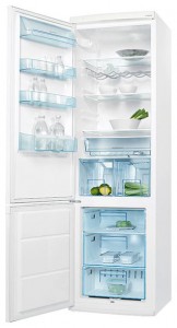 Refrigerator Electrolux ERB 40233 W larawan pagsusuri