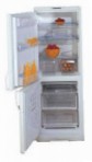 tốt nhất Indesit C 132 NFG Tủ lạnh kiểm tra lại