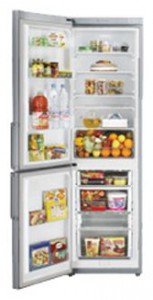 Kühlschrank Samsung RL-43 THCTS Foto Rezension